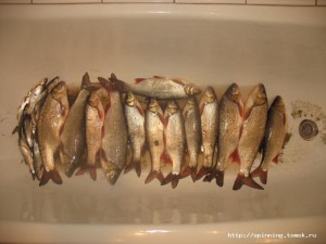 IMG_0001.JPG