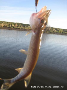 IMG_3659.JPG