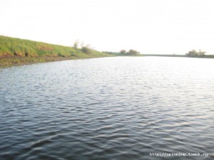IMG_3786.JPG