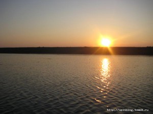 IMG_3787.JPG