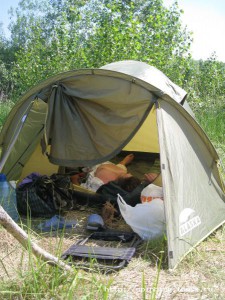 IMG_1979.jpg