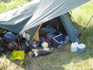 IMG_2133.jpg