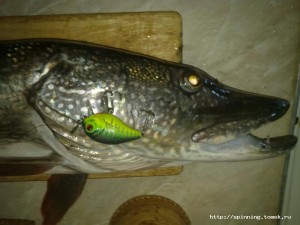 12062012158.jpg