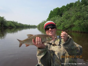 IMG_0341.jpg