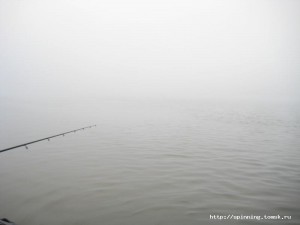 IMG_3895.JPG