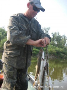 IMG_3896.JPG