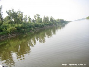 IMG_3898.JPG