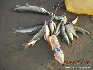 DSCN3199.JPG