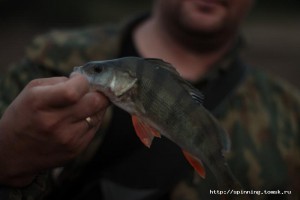 IMG_1721.JPG