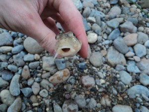 DSC01057_.jpg