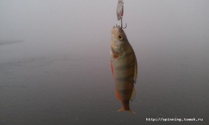 IMAG0206.jpg