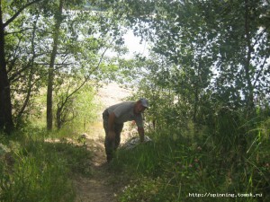IMG_4157.JPG