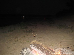 IMG_4224.JPG