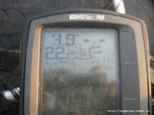 IMG_4231.JPG