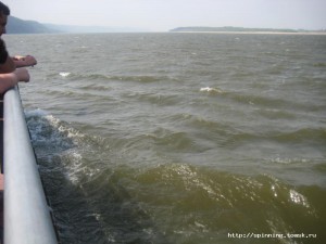 IMG_4253.JPG