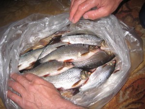 IMG_7524.JPG