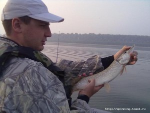 20072012270.jpg