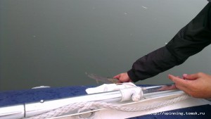 IMAG0476.jpg