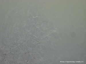 IMG_4290.JPG