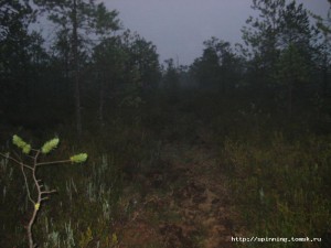 IMG_4402.JPG