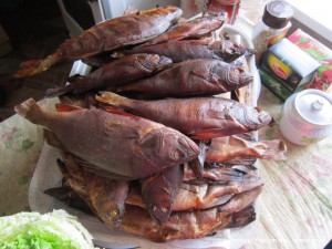 IMG_0618.JPG