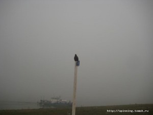 IMG_4571.JPG