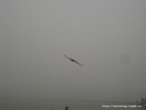 IMG_4572.JPG