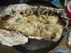 IMG_4586.JPG