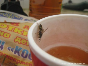 IMG_4589.JPG