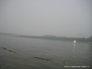 IMG_4619.JPG