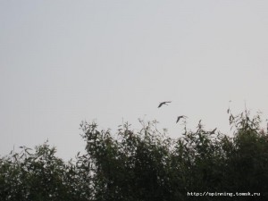IMG_0627.jpg