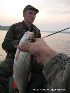 IMG_4773.JPG