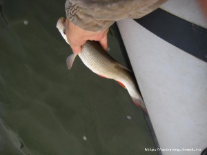 IMG_4774.JPG
