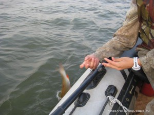 IMG_4776.JPG