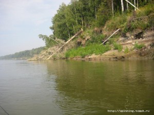 IMG_4778.JPG