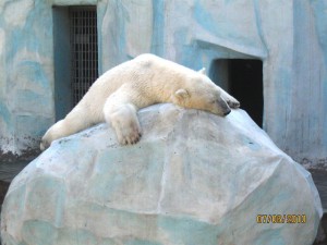 IMG_1144.jpg