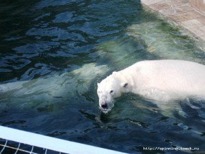 IMG_2097.jpg