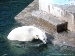 IMG_2098.jpg