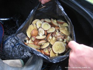 IMG_4945.JPG