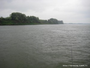 IMG_4798.JPG