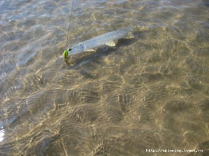 IMG_4872.JPG