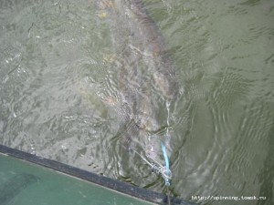 IMG_4873.JPG