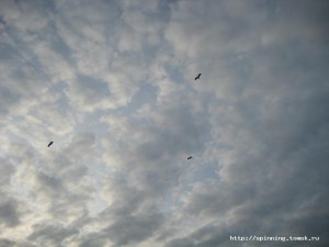 IMG_4892.JPG