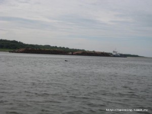 IMG_4901.JPG