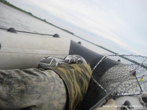 IMG_4902.JPG