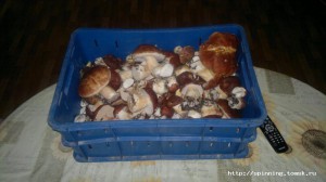 2012-08-16-509.jpg