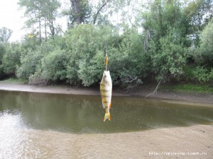 IMG_7708.JPG