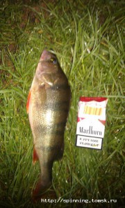 IMAG0098.jpg