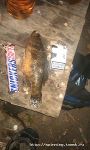 IMAG0190.jpg