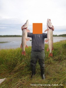 foto.jpg